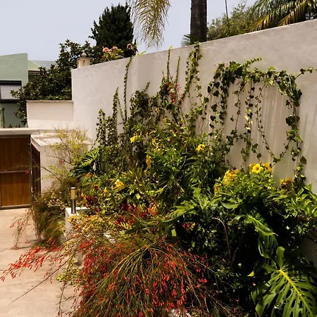 Laurisilva 빌라 사우살