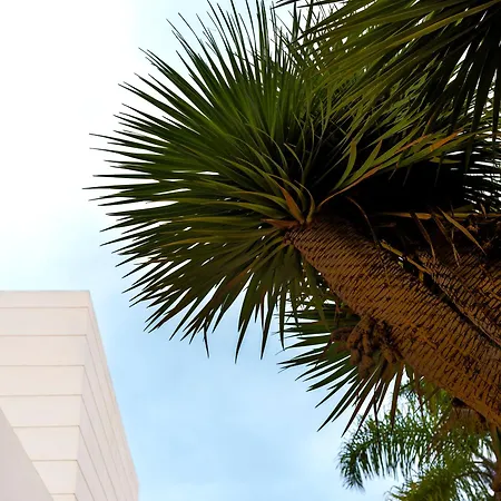 Laurisilva 빌라 사우살