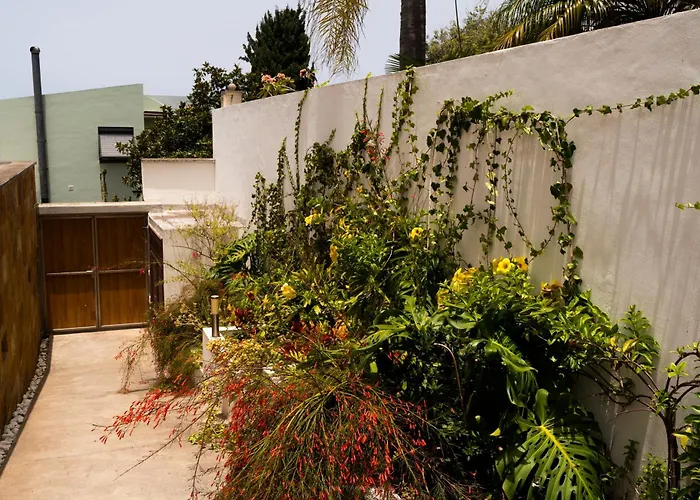 Laurisilva Villa El Sauzal