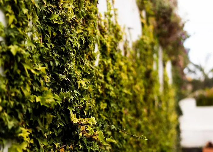 ヴィラ Laurisilva *