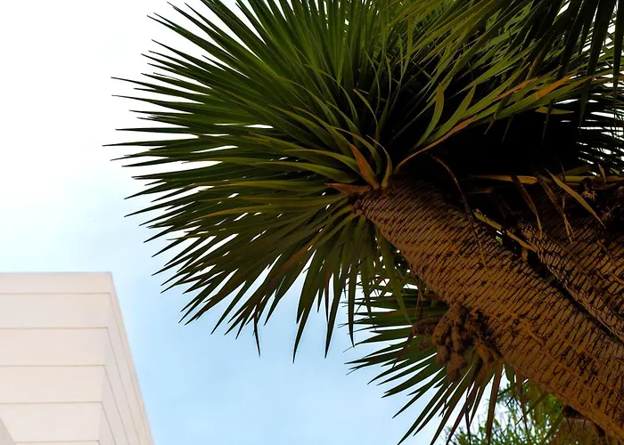 Laurisilva ヴィラ サウサル